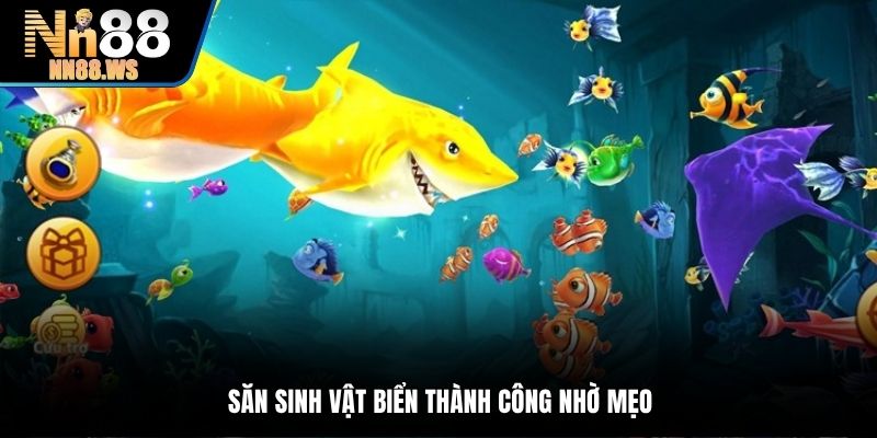 Săn sinh vật biển thành công nhờ mẹo